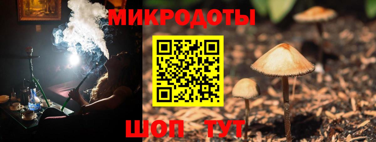 Псилоцибиновые грибы Psilocybine cubensis  Галлюциногенные грибы мухоморы  Вход с VPN  Егорьевск 